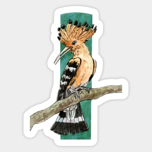 Hoopoe Sticker